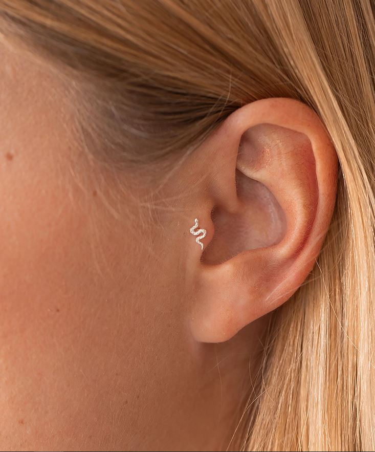 tragus serpent