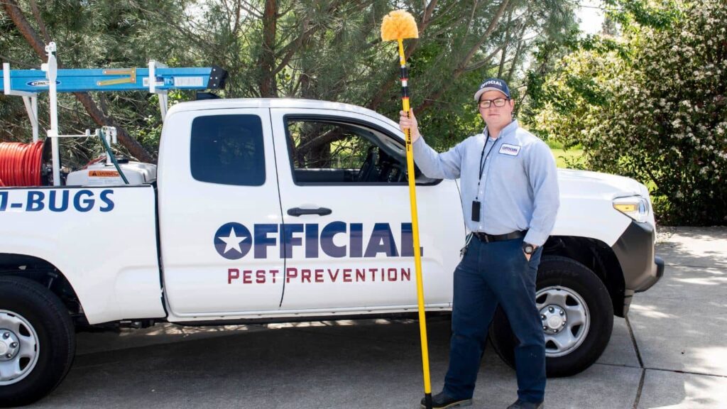 Why You Need a Professional Carpenter Ant Exterminator in Fresno