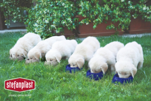 Stefanplast pet