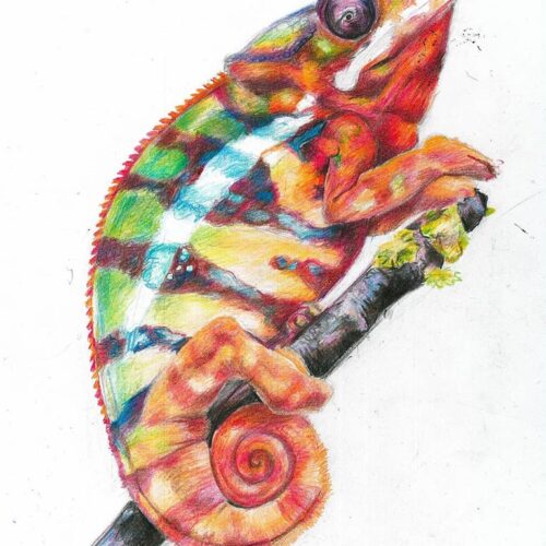 kurs_online_dla_dzieci_kurs_na_asp_sealart_szkola_rysunku_nauka_rysunku_zajecia_z_Rysunku (53) | Sealart szkoła rysunku