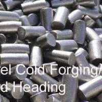 Carbon steel cold forging parts,Cold heading steel accessory