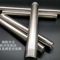Stainless Steel Male Threaded Pipe Fittings