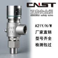 CNST A21H-16C safety relief valve threaded union connection ports and fittings detail view, DN15-DN80 carbon steel