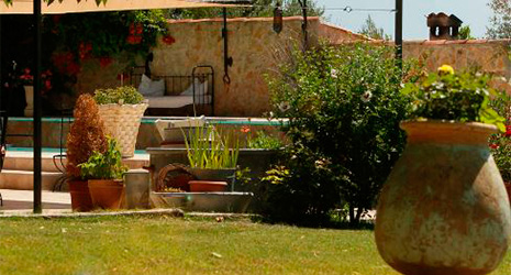 jardin table de canette