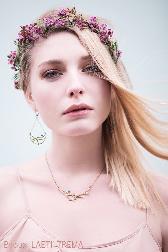 branche collection