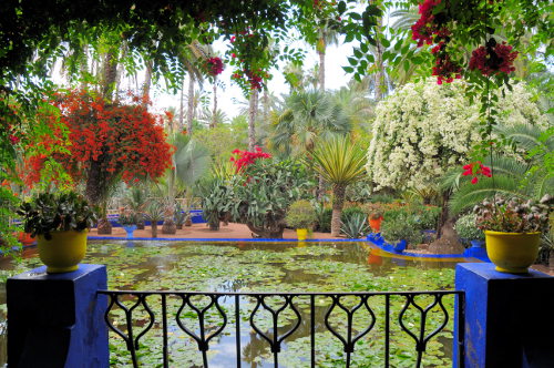 jardin