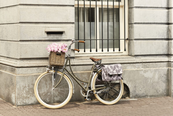 sac-velo
