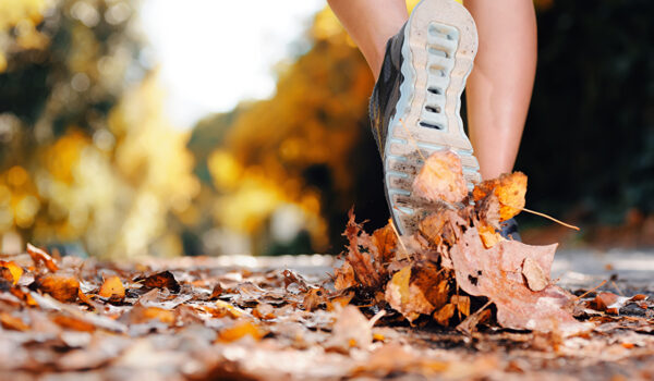 Automne-forme-bien-etre