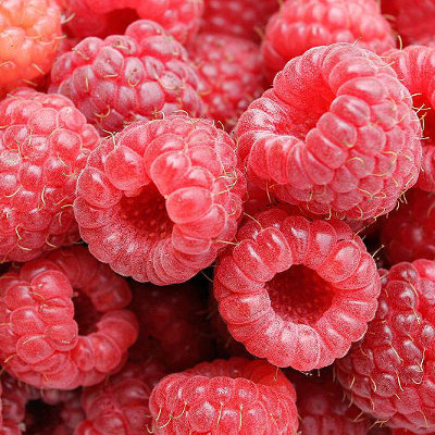fruit