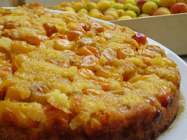 gateau mirabelles