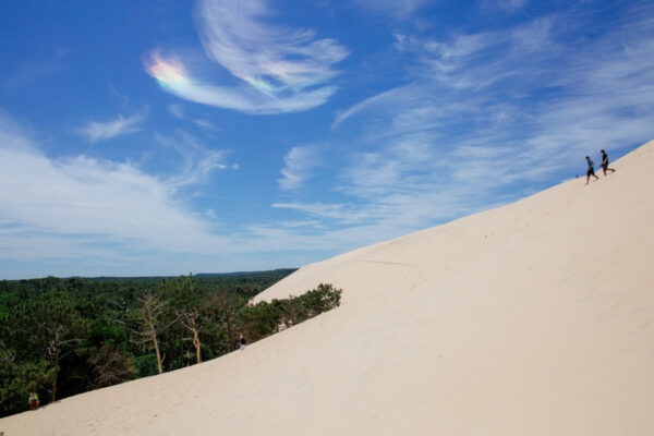 bassin d'arcachon
