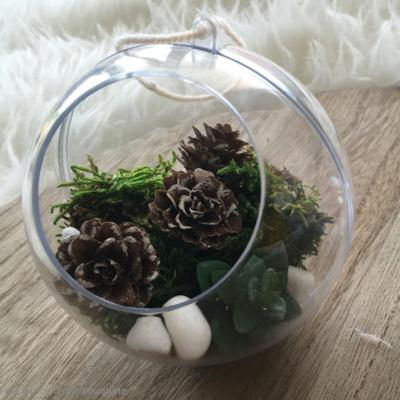 DIY - terrarium - boule-de-noel