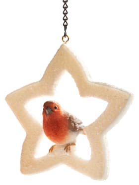 etoile-lumineuse-oiseau-deco-noel