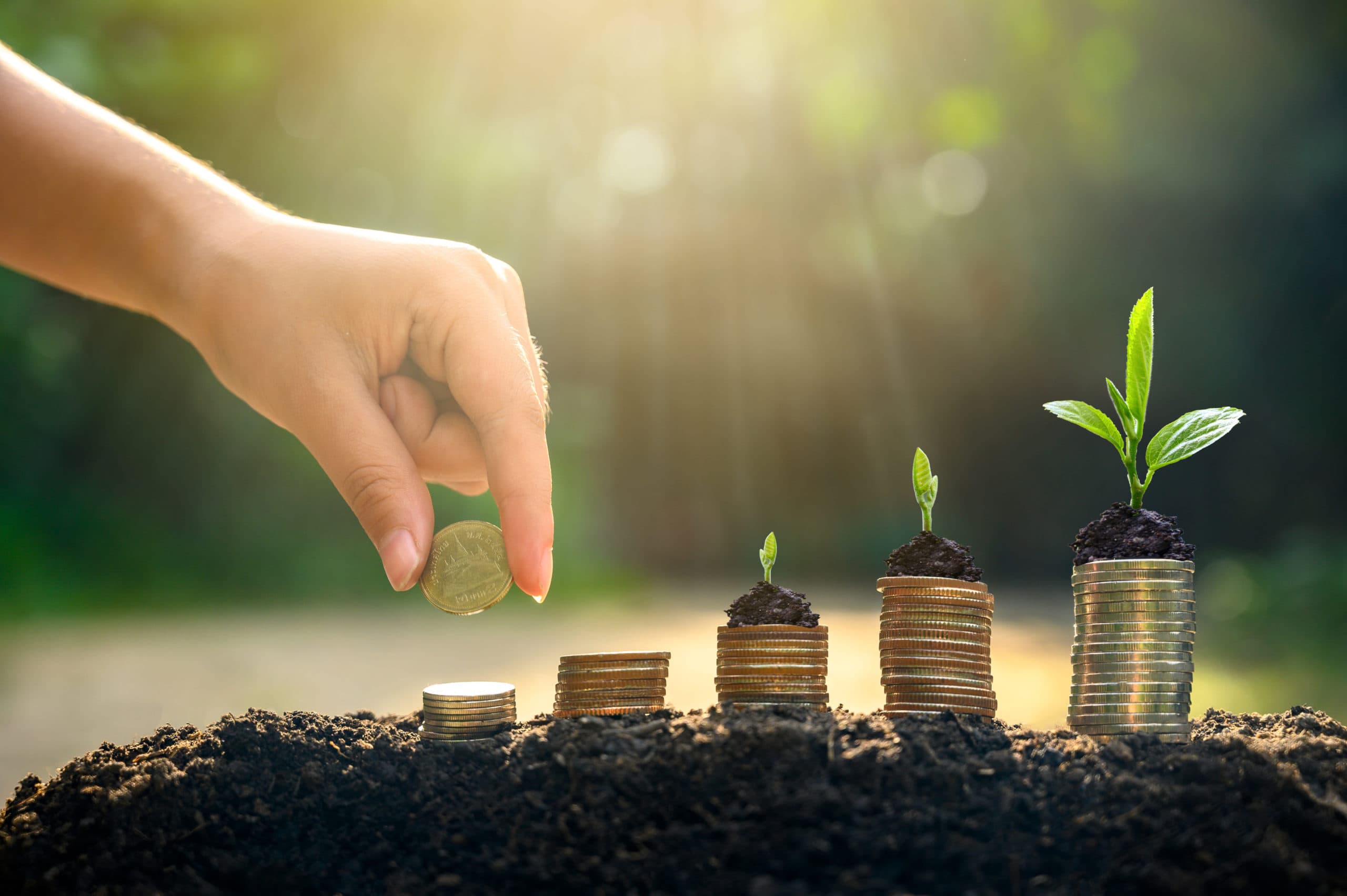 Growth of revenue sources in B2B sales. Hand placing coin on soil with growing plant and stacked coins representing revenue growth.