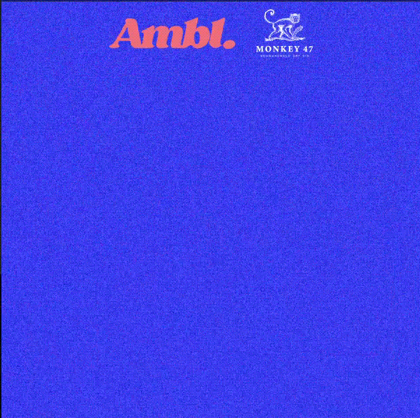 ambl Blue background with Ambl. in large pink text at the top left and Monkey 47 with a white monkey logo at the top right, showcasing creative brand design by a skilled graphic artist. The rest of the image is empty.
